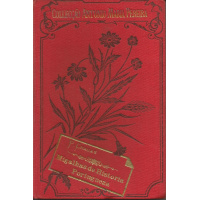 Livros/Acervo/P/PINHEIRO CHAGAS MIGALHAS